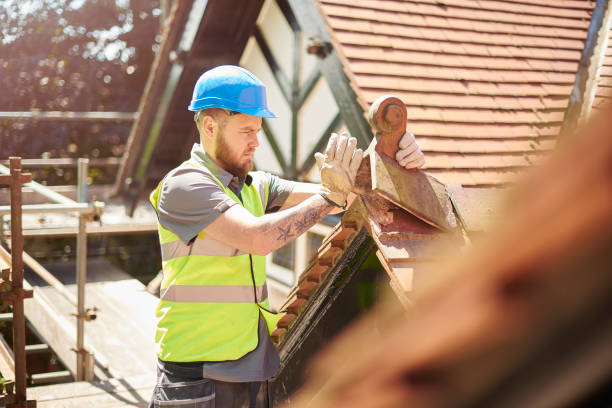 Best Roof Gutter Cleaning  in Waldwick, NJ